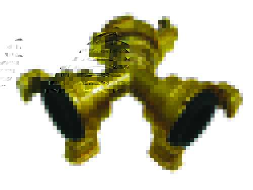 3804.jpg